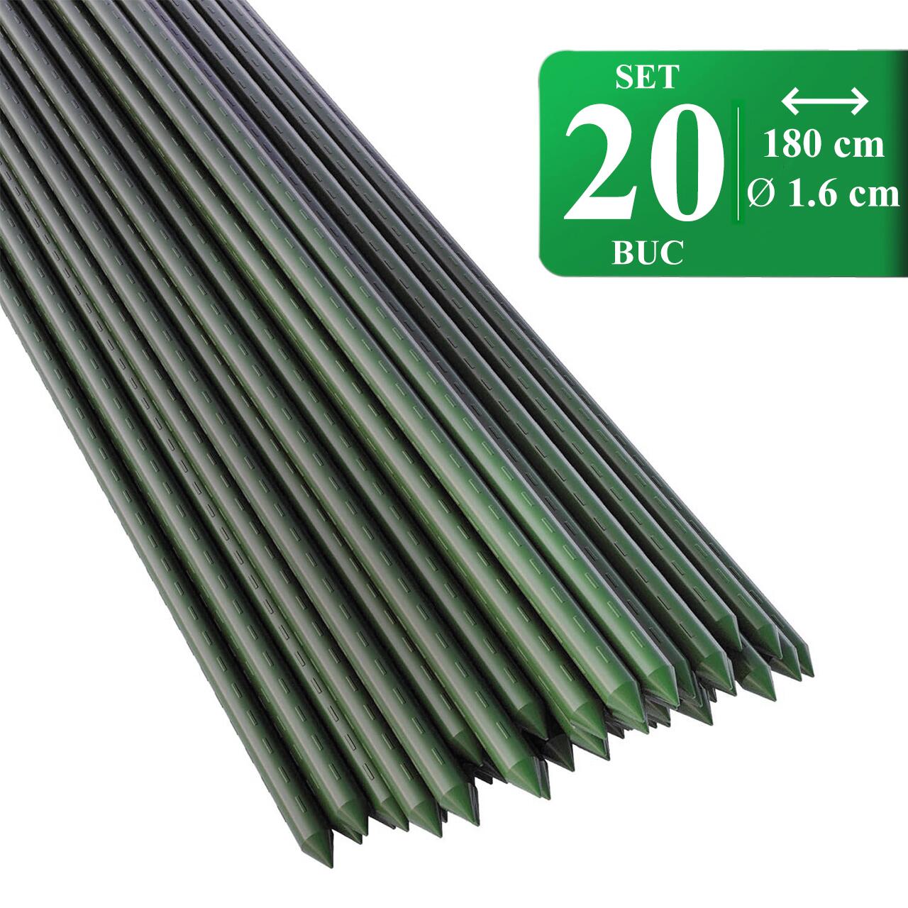 Set 20 suporti/araci metal verde 180x1